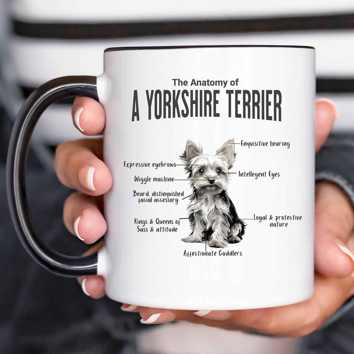 Yorkie Anatomy Mug White