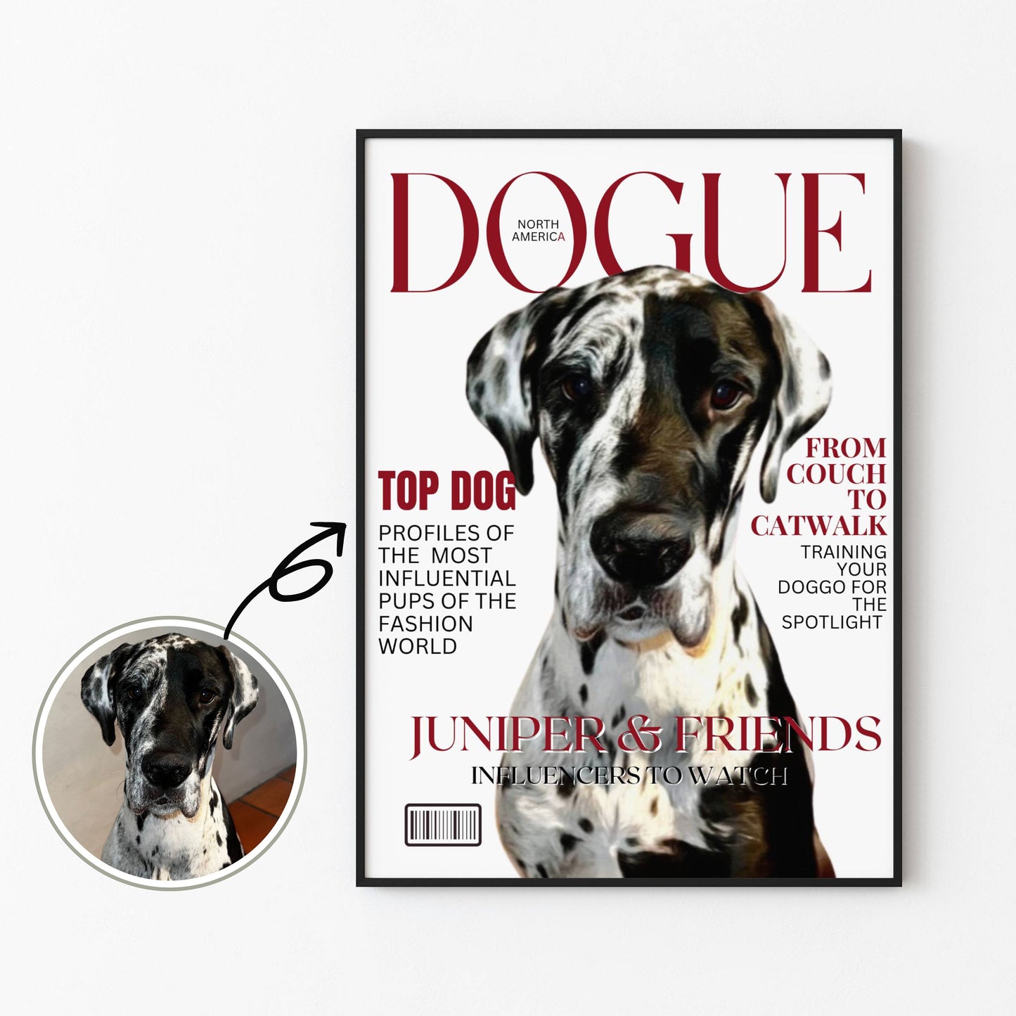 Magazine Cover Pet Portrait