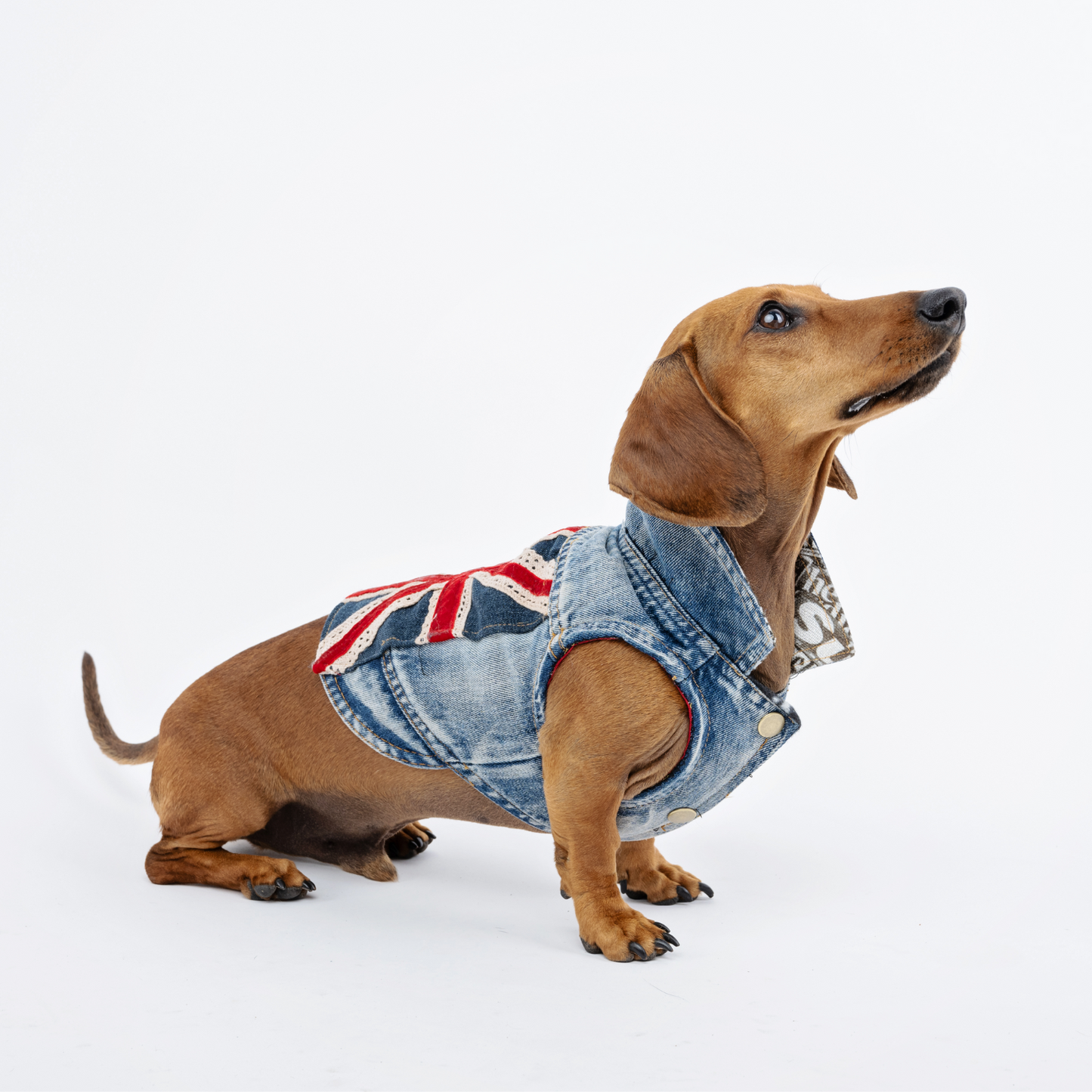 Union Jack Flash Bespoke Jacket